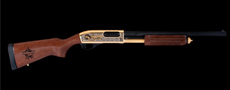 Bushwacker Shotgun Remington